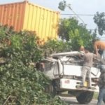POHON TUMBANG TIMPA TRUK DI JALAN BARU KARAWANG