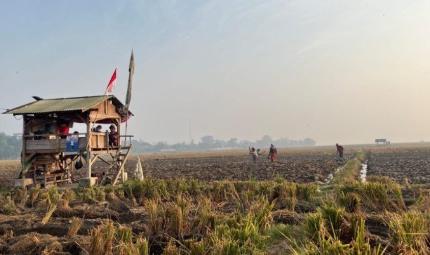 Di Antara Sawah dan Rel Kereta: Cerita Pagi Tim BSI Explore 2026 di Desa Barugbug