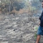 Kebakaran Lahan di Belakang Hotel Grand Mutiara Cikampek, Warga Bantu Padamkan Api