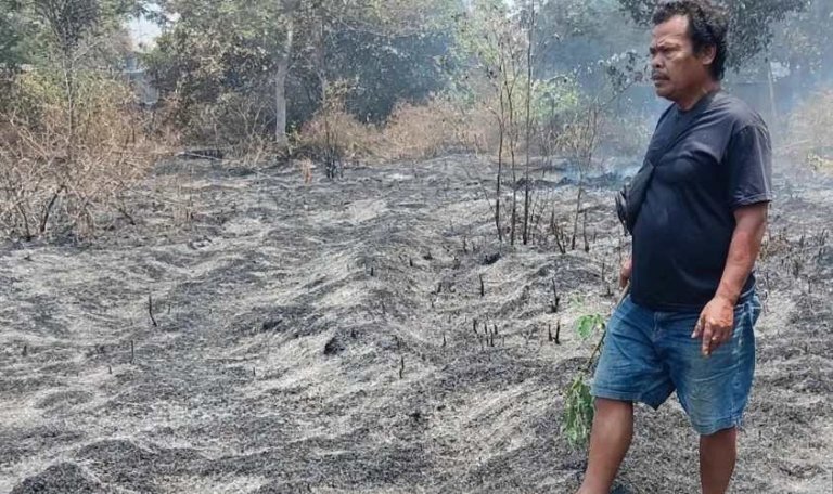 Kebakaran Lahan di Belakang Hotel Grand Mutiara Cikampek, Warga Bantu Padamkan Api