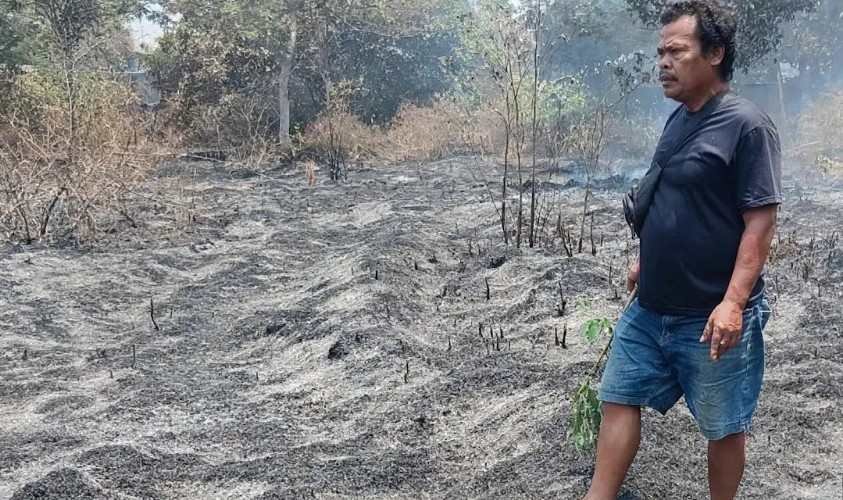 Kebakaran Lahan di Belakang Hotel Grand Mutiara Cikampek, Warga Bantu Padamkan Api